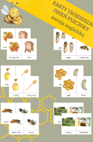 Pszczoły - karty trójdzielne Montessori - wersja ang