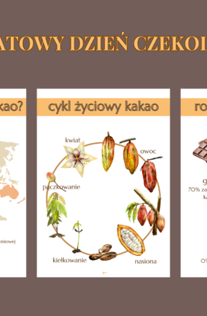 Dzień Czekolady – pakiet edukacyjny do druku