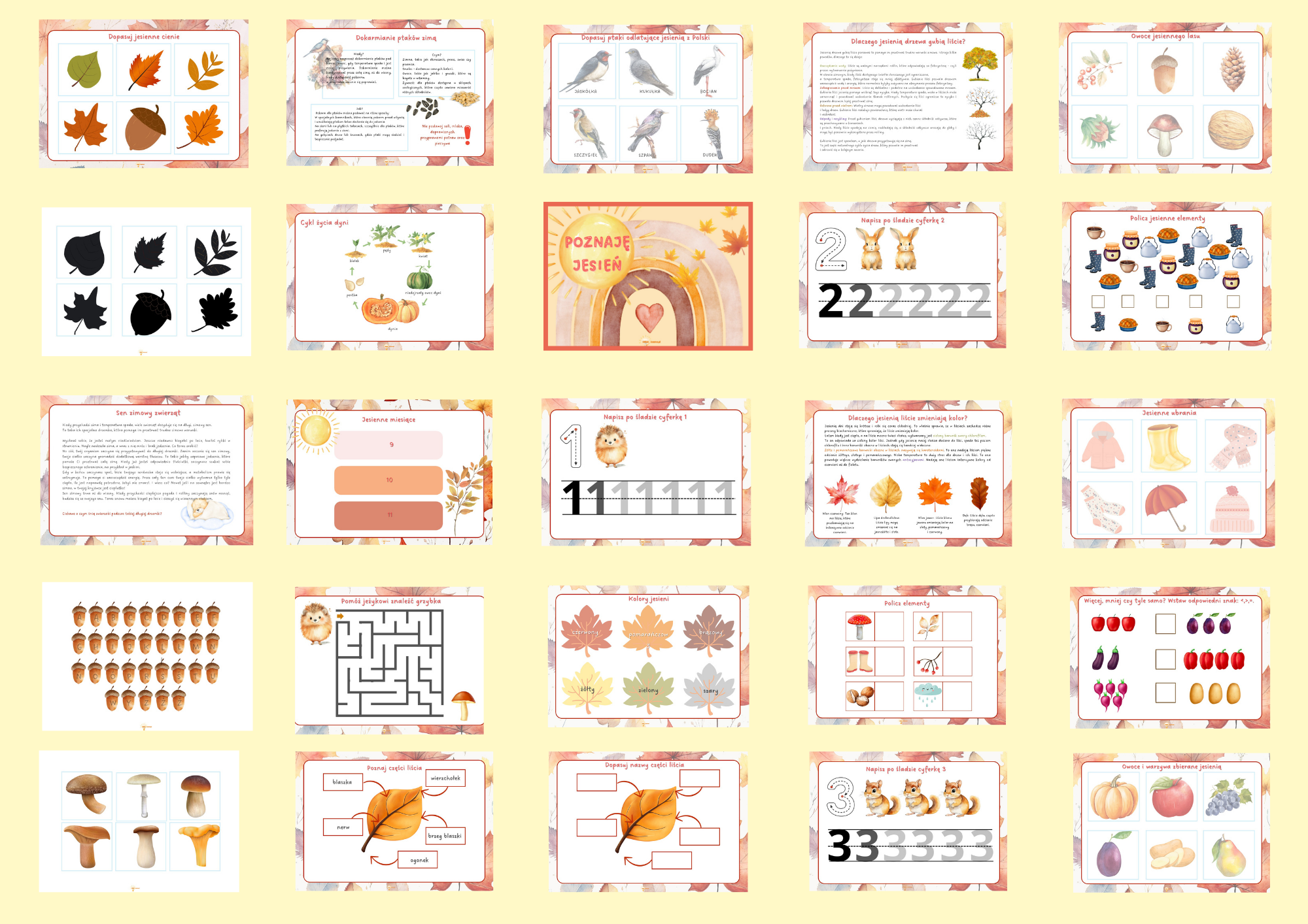 Jesienny pakiet edukacyjny – Poznaję jesień