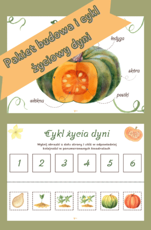 Cykl życia dyni – karty trójdzielne, plakaty i plansze do nauki liczenia od 1 do 10, części dyni i etapy wzrostu dyni.